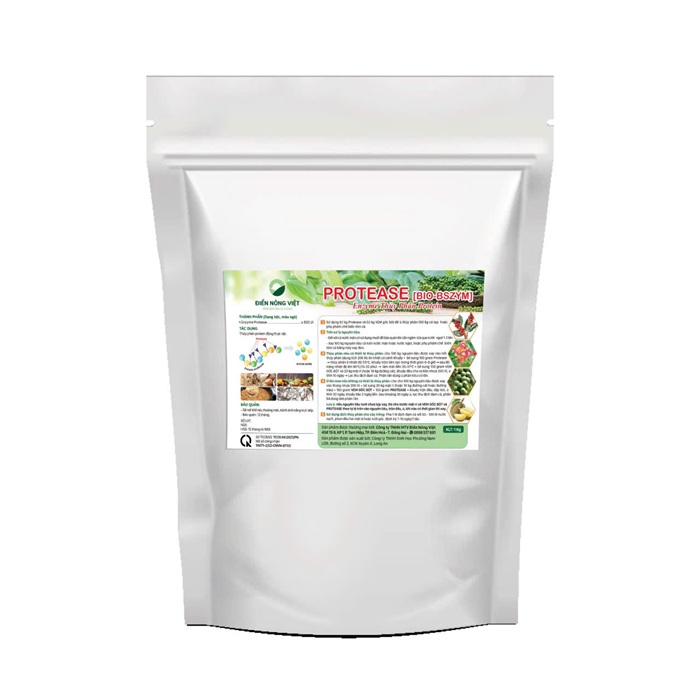 Protease (BIO BSZYM)