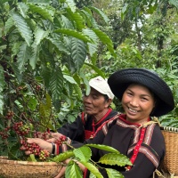 Nụ cười mùa vụ